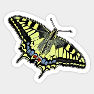 Swallowtail Butterfly Papilio machaon Sticker